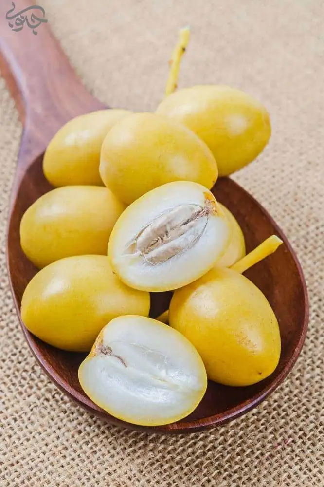 خرما نارس، یک جایگزین مناسب برای شکر سفید - جنوبی